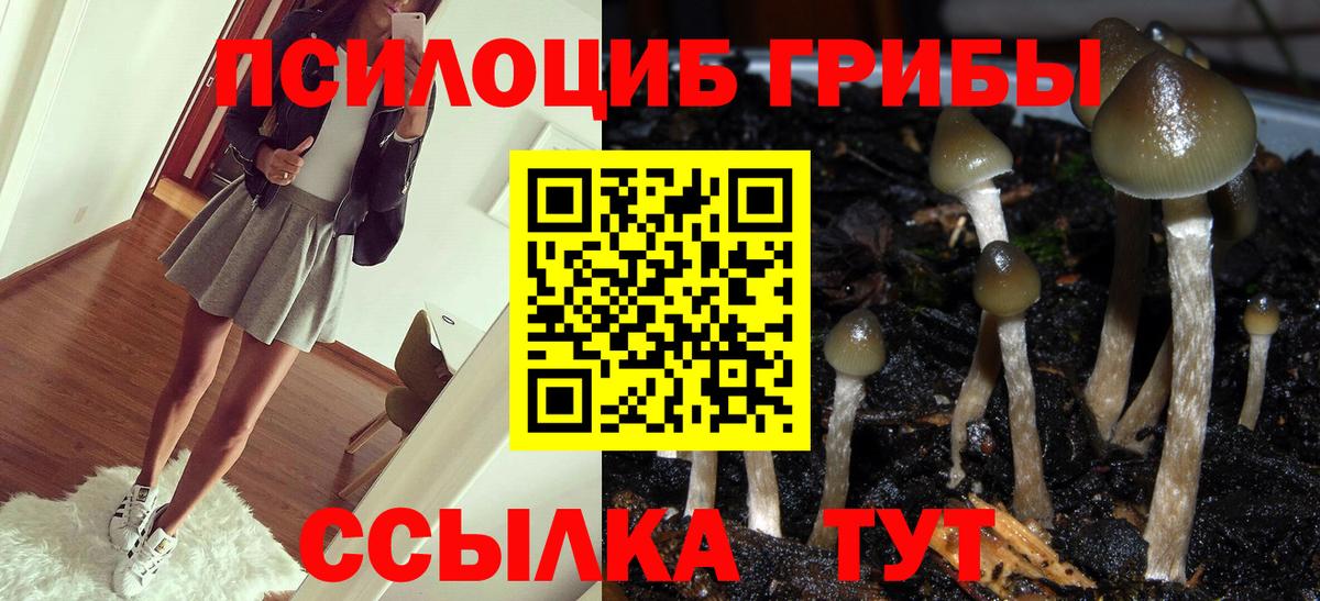 Галлюциногенные грибы MAGIC MUSHROOMS Гагарин