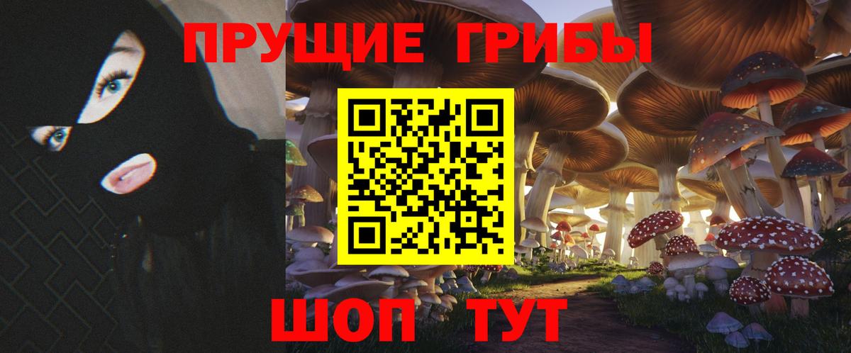 Псилоцибиновые грибы Cubensis  Вход с VPN  Гагарин 